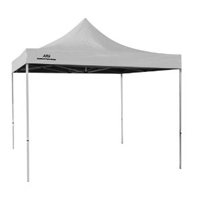 Art Tent with 10x10 Canopy
